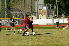 Enlarge photo 304