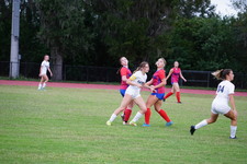 Enlarge photo 34