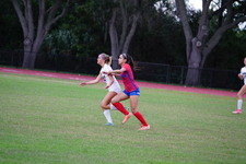 Enlarge photo 44