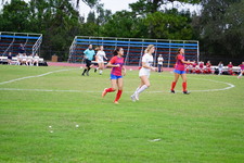 Enlarge photo 51