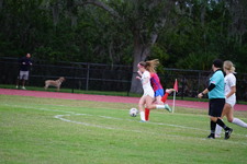 Enlarge photo 57