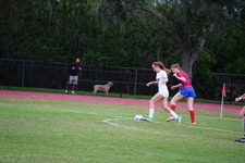 Enlarge photo 59