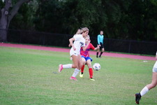 Enlarge photo 93