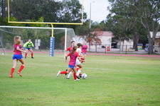 Enlarge photo 97