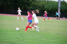 Enlarge photo 118