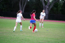 Enlarge photo 122