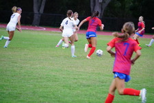 Enlarge photo 125