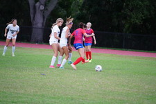 Enlarge photo 126