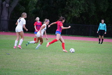 Enlarge photo 130