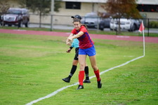Enlarge photo 133