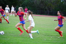 Enlarge photo 138