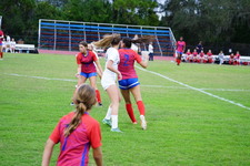 Enlarge photo 149