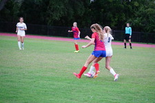 Enlarge photo 150