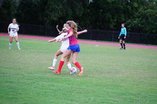Enlarge photo 152