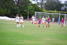 Enlarge photo 164
