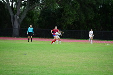 Enlarge photo 173