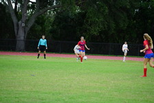 Enlarge photo 175