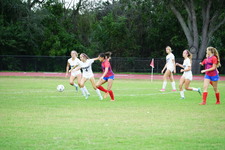 Enlarge photo 176