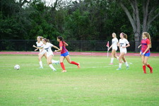 Enlarge photo 177