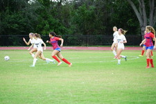 Enlarge photo 179