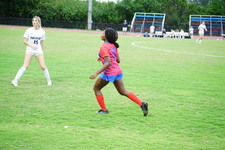 Enlarge photo 184