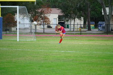 Enlarge photo 205