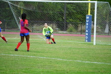 Enlarge photo 236