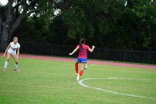 Enlarge photo 237