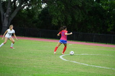 Enlarge photo 239