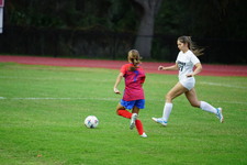 Enlarge photo 251