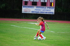 Enlarge photo 254