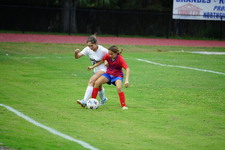 Enlarge photo 257