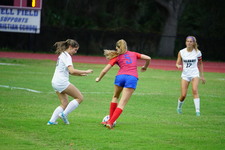 Enlarge photo 261