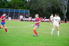Enlarge photo 265