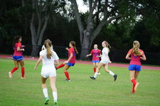 Enlarge photo 270