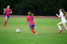 Enlarge photo 298