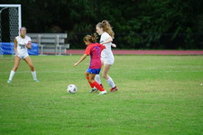 Enlarge photo 301