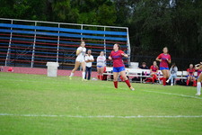Enlarge photo 313