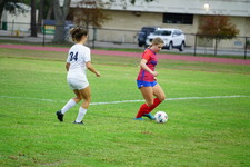 Enlarge photo 319