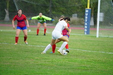 Enlarge photo 328