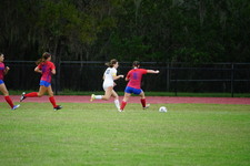 Enlarge photo 336