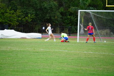 Enlarge photo 339