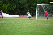 Enlarge photo 341