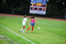Enlarge photo 355