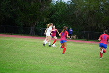 Enlarge photo 378
