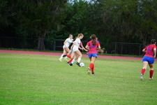 Enlarge photo 379