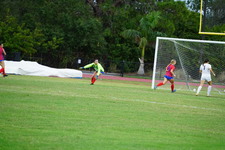 Enlarge photo 382