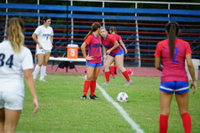 Enlarge photo 384