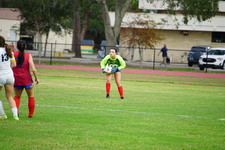 Enlarge photo 475