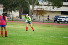 Enlarge photo 478